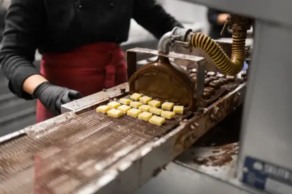 The Ultimate Guide to Faqs: Chocolate Bar Making Machine - SIONFUDE